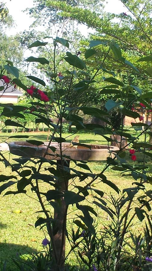 Hotel Philo Leisure Gardens Kalangala Esterno foto